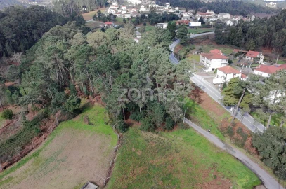 Terreno para Venda em Freixo de Cima e de Baixo