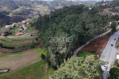 Terreno para Venda em Freixo de Cima e de Baixo