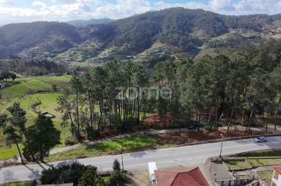 Terreno para Venda em Freixo de Cima e de Baixo
