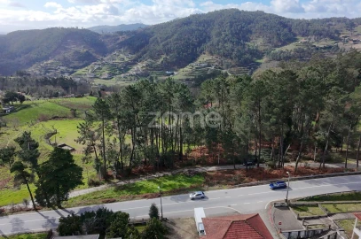 Terreno para Venda em Freixo de Cima e de Baixo