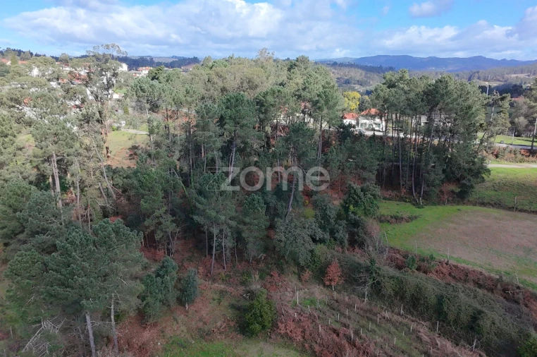 Terreno para Venda em Freixo de Cima e de Baixo Foto 2
