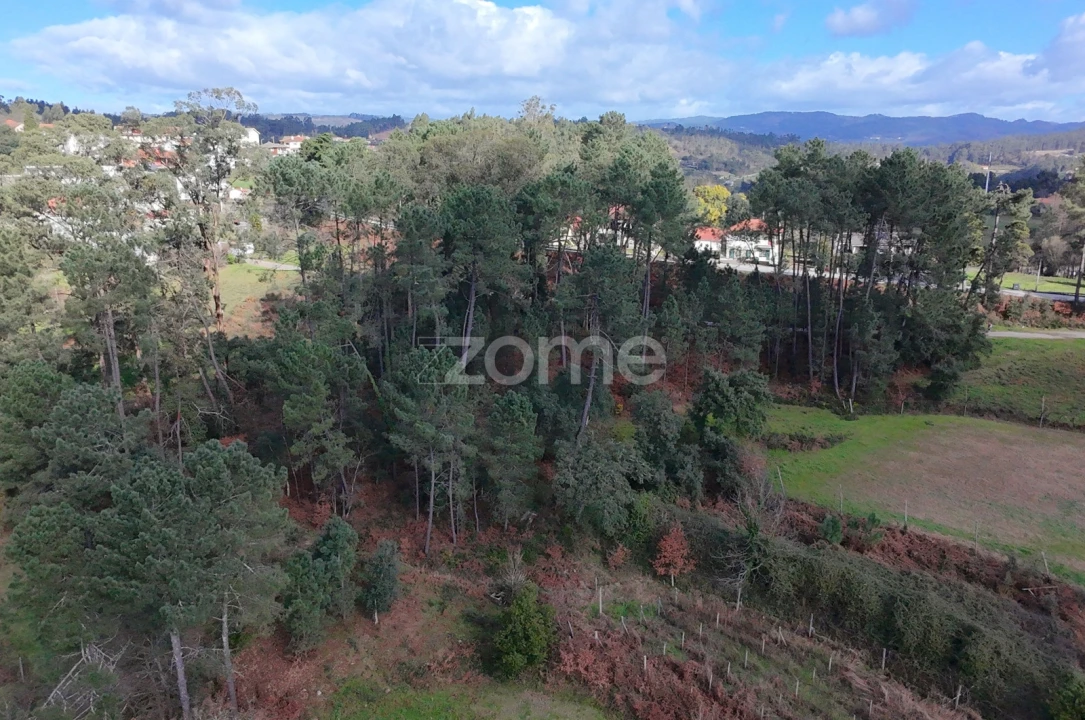 Terreno para Venda em Freixo de Cima e de Baixo Foto 3