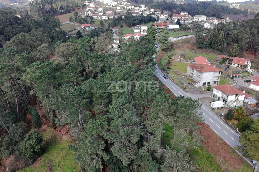 Terreno para Venda em Freixo de Cima e de Baixo Foto 6