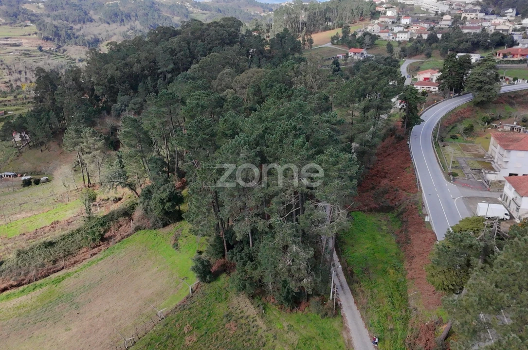 Terreno para Venda em Freixo de Cima e de Baixo Foto 8