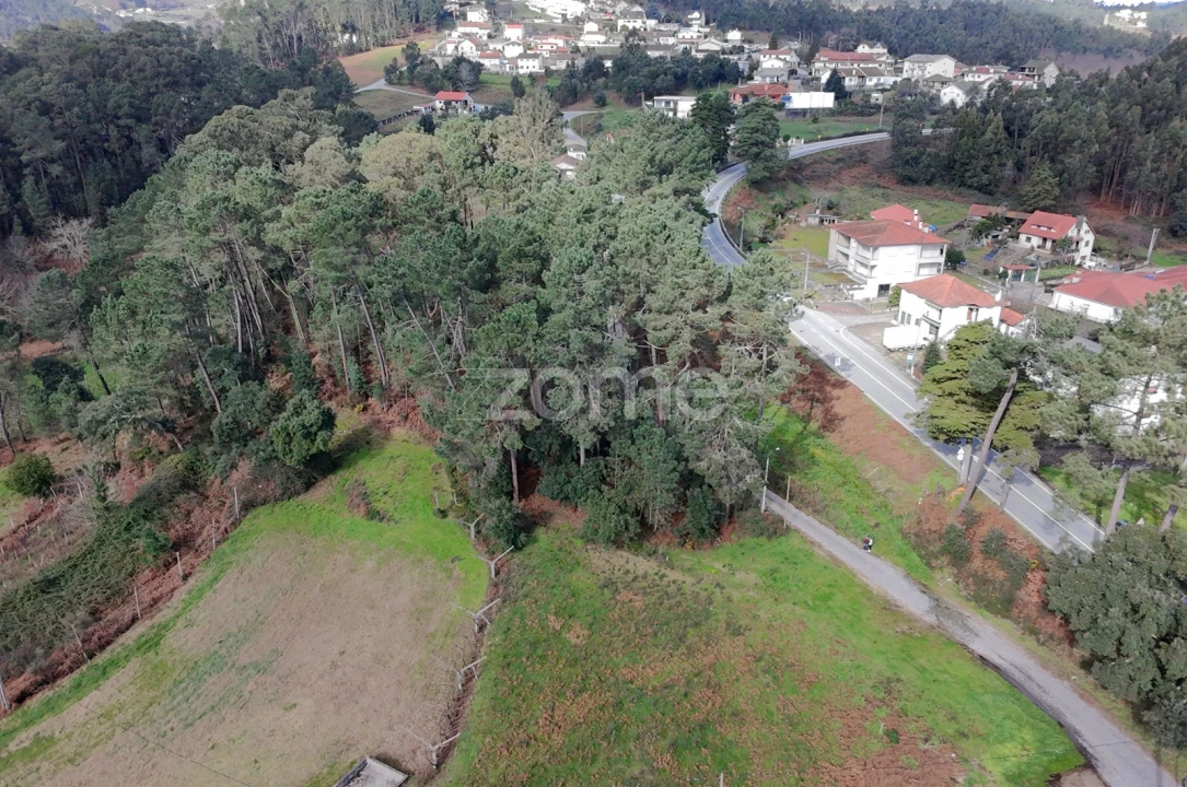 Terreno para Venda em Freixo de Cima e de Baixo Foto 7