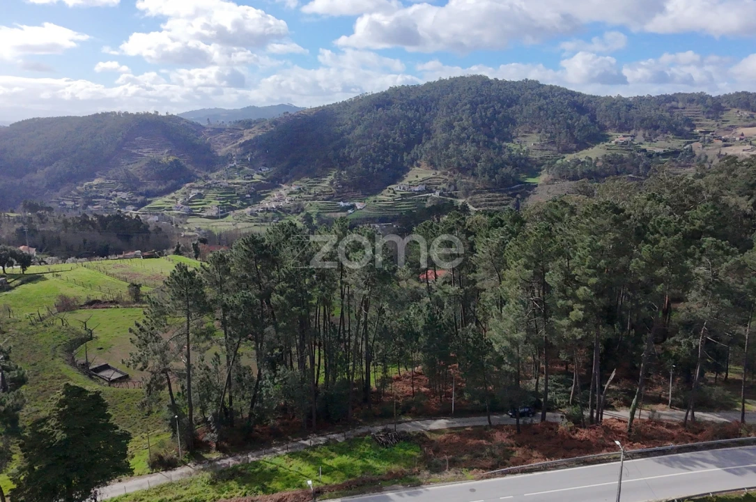 Terreno para Venda em Freixo de Cima e de Baixo Foto 9