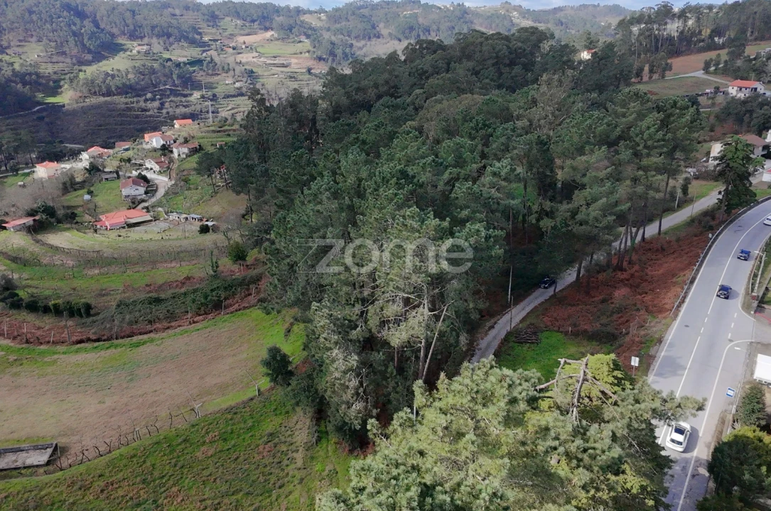 Terreno para Venda em Freixo de Cima e de Baixo Foto 1
