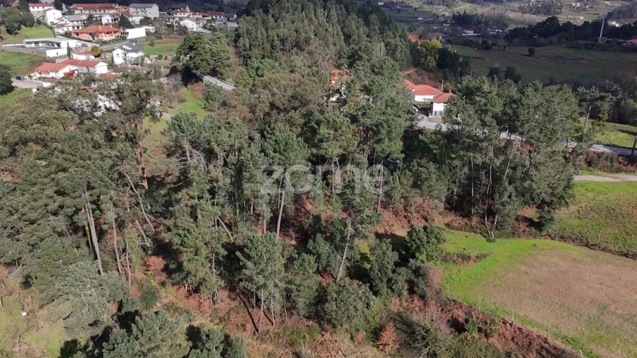 Terreno para Venda em Freixo de Cima e de Baixo