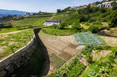 Terreno para Venda em Louredo