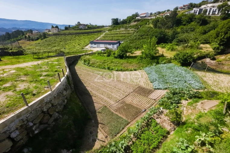 Terreno para Venda em Louredo Foto 15