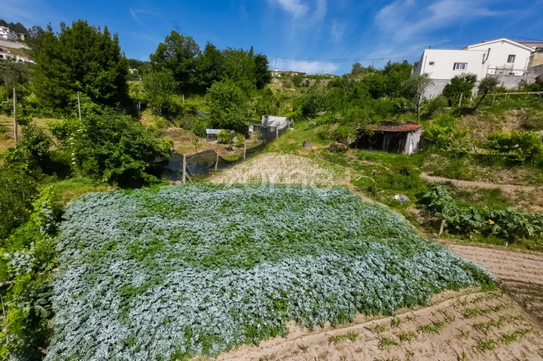 Terreno para Venda em Louredo Foto 16