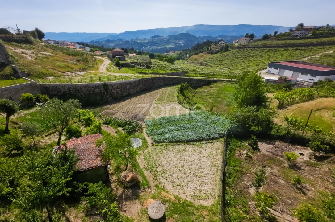 Terreno para Venda em Louredo Foto 10