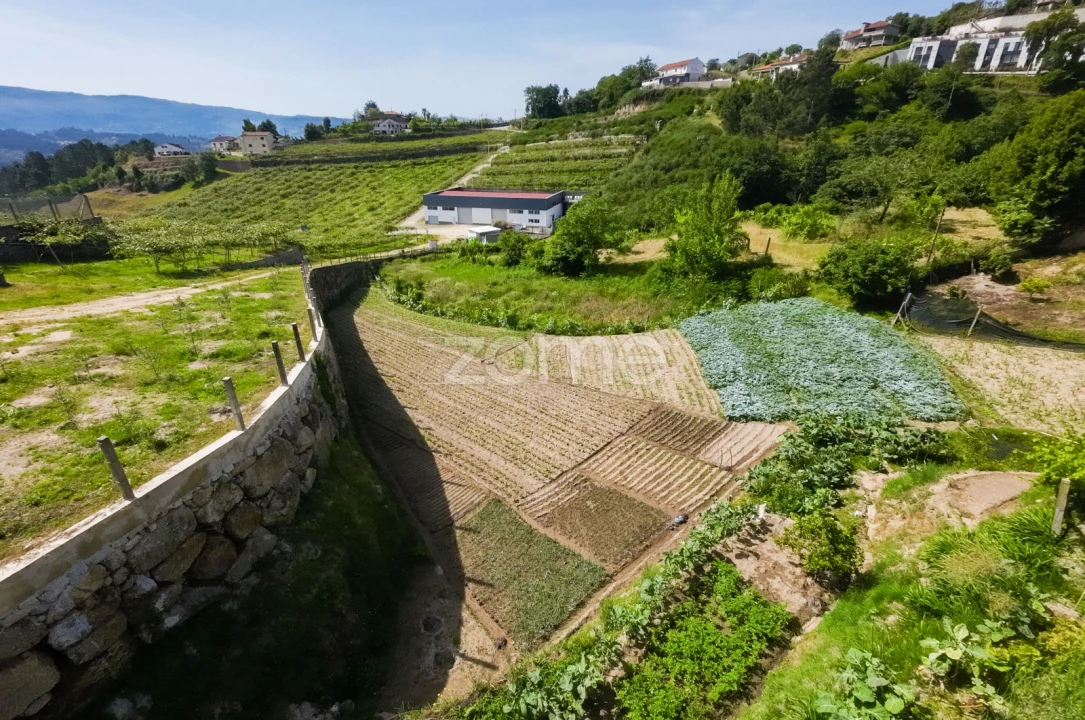 Terreno para Venda em Louredo Foto 15