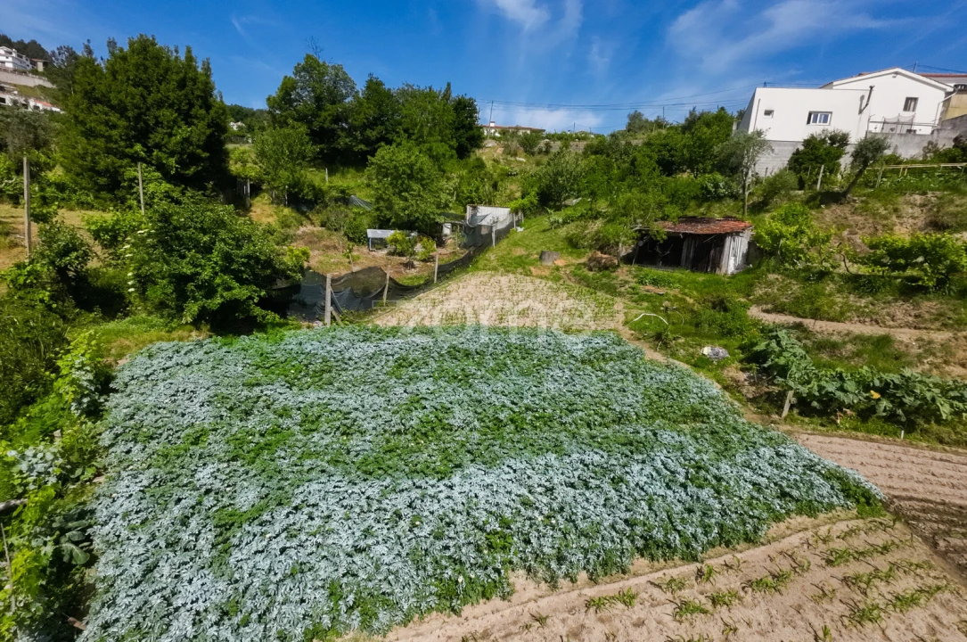 Terreno para Venda em Louredo Foto 16