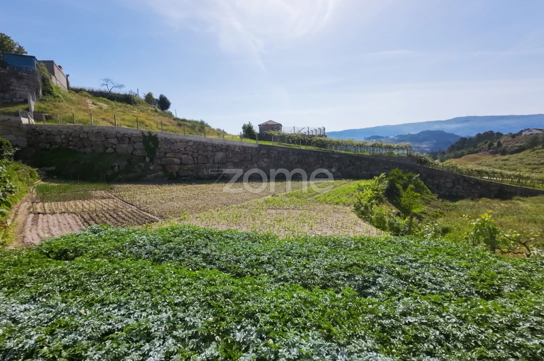 Terreno para Venda em Louredo Foto 17