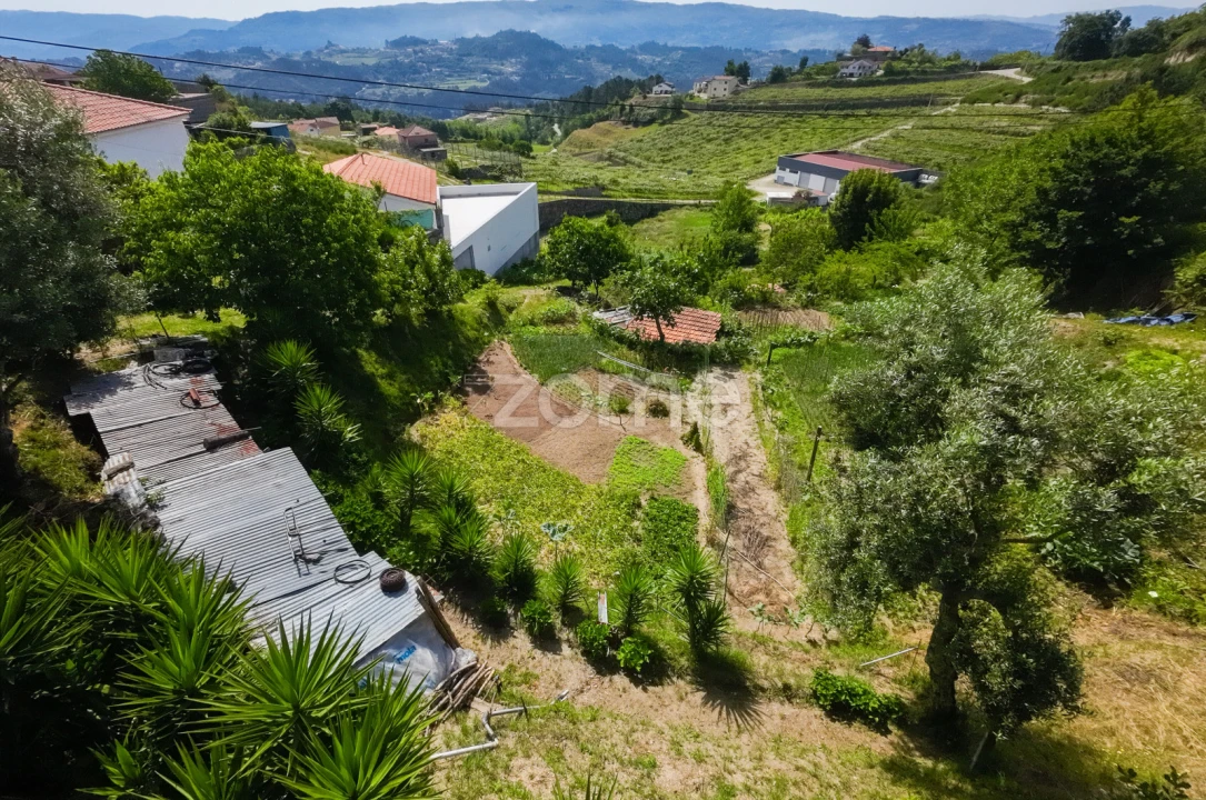 Terreno para Venda em Louredo Foto 19