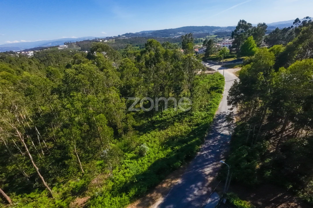 Terreno para Venda em Caide de Rei Foto 16