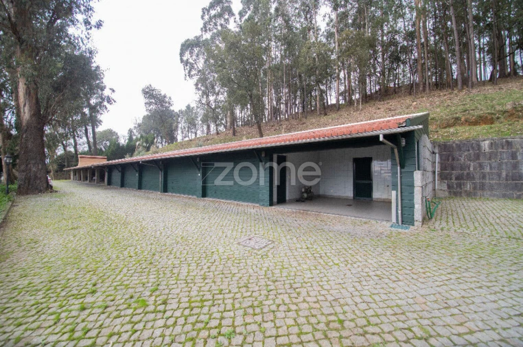 Quinta T5 para Venda em O. Azeméis, Riba-Ul, Ul, Macinhata Seixa, Madail Foto 75