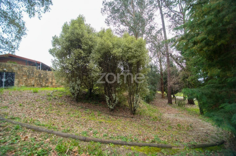 Quinta T5 para Venda em O. Azeméis, Riba-Ul, Ul, Macinhata Seixa, Madail Foto 21