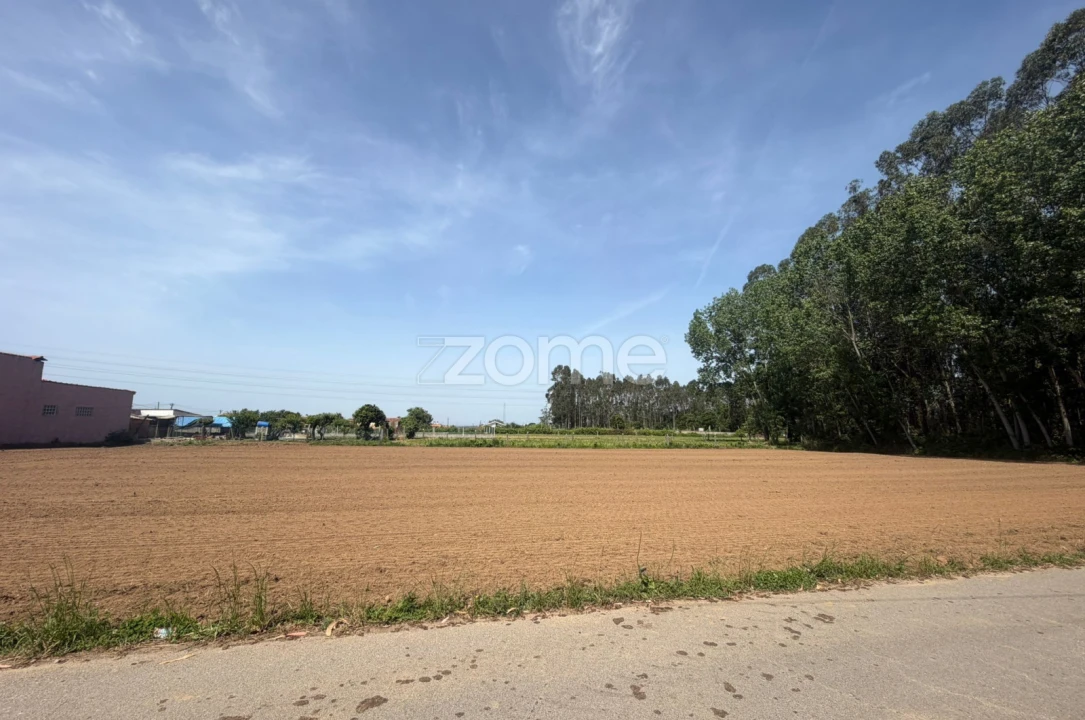 Terreno para Venda em Avanca Foto 3