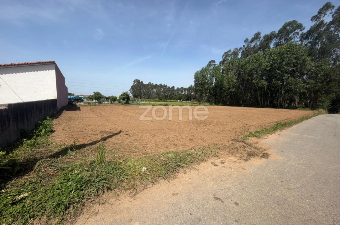 Terreno para Venda em Avanca Foto 2