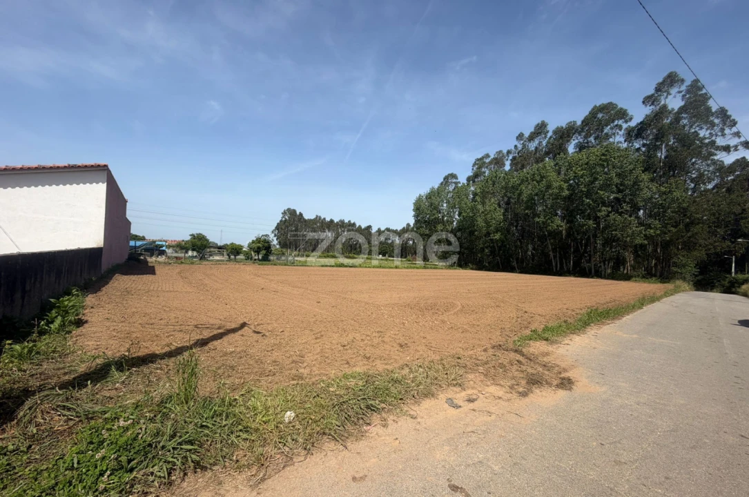 Terreno para Venda em Avanca Foto 4