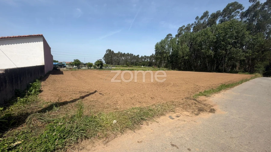 Terreno para Venda em Avanca