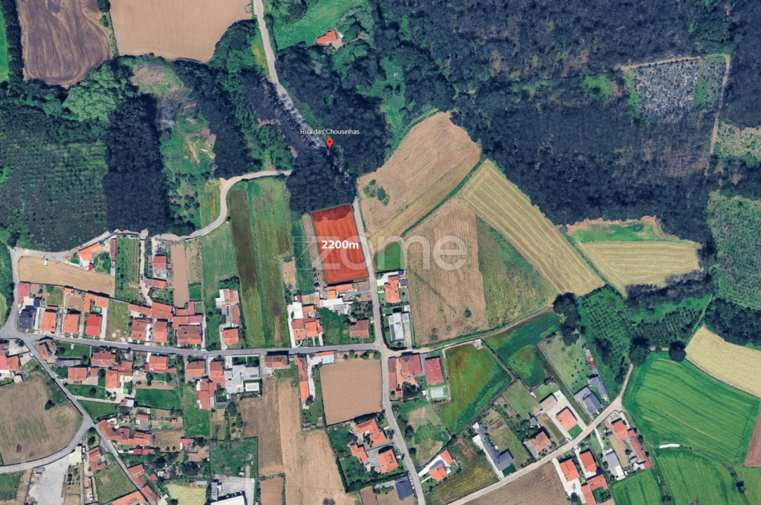 Terreno para Venda em Avanca Foto 1