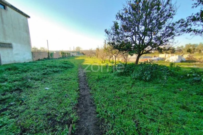Terreno para Venda em Beduído e Veiros