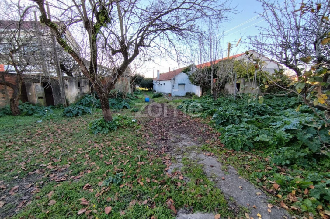 Terreno para Venda em Beduído e Veiros Foto 5