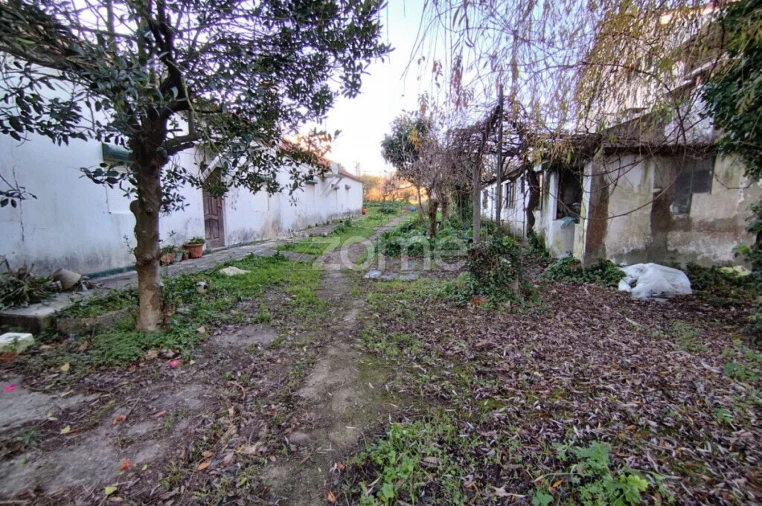 Terreno para Venda em Beduído e Veiros Foto 6