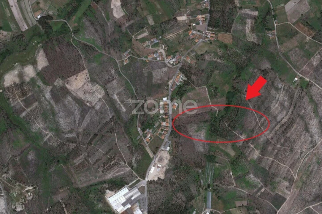 Terreno para Venda em Requeixo, Nossa Senhora de Fátima e Nariz Foto 6