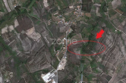 Terreno para Venda em Requeixo, Nossa Senhora de Fátima e Nariz