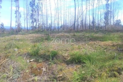 Terreno para Venda em Requeixo, Nossa Senhora de Fátima e Nariz