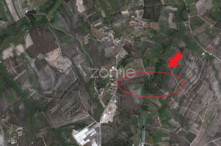 Terreno para Venda em Requeixo, Nossa Senhora de Fátima e Nariz Foto 6