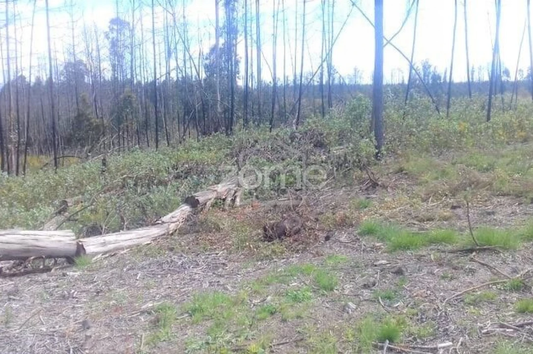 Terreno para Venda em Requeixo, Nossa Senhora de Fátima e Nariz Foto 4