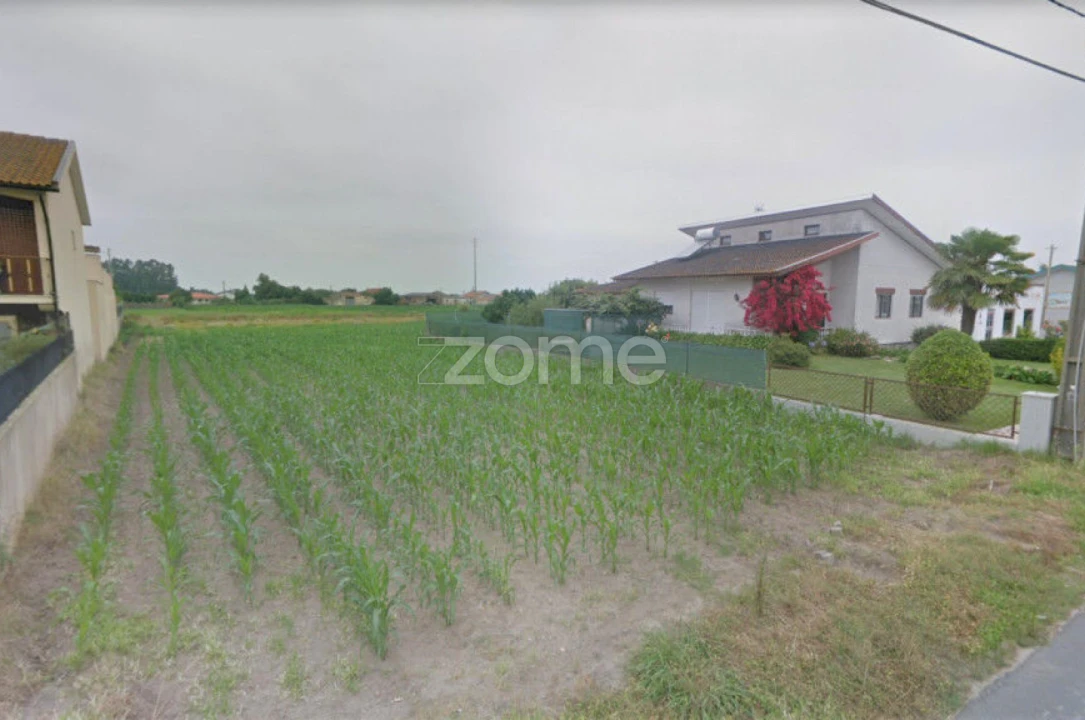 Terreno para Venda em Murtosa Foto 3