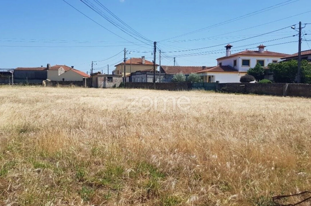 Terreno para Venda em Beduído e Veiros Foto 10