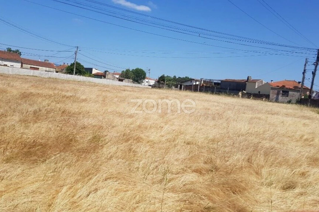 Terreno para Venda em Beduído e Veiros Foto 11