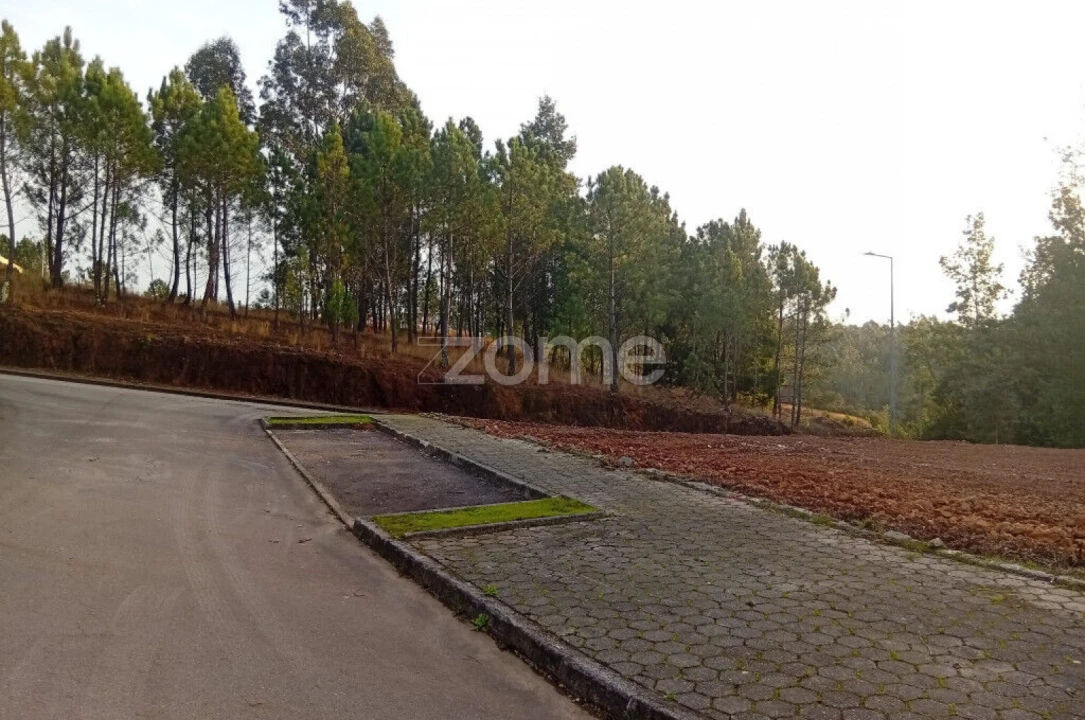 Terreno para Venda em O. Azeméis, Riba-Ul, Ul, Macinhata Seixa, Madail Foto 7