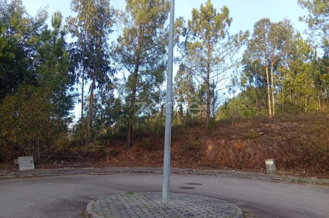 Terreno para Venda em O. Azeméis, Riba-Ul, Ul, Macinhata Seixa, Madail Foto 1