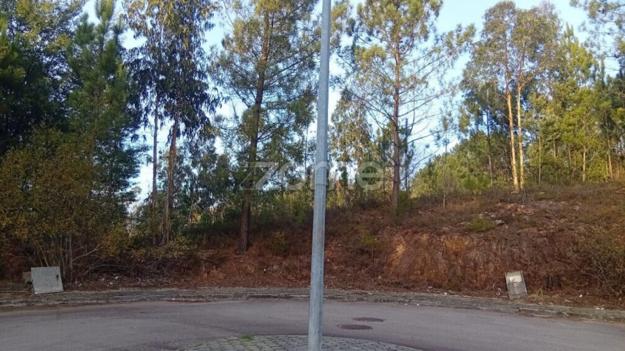 Terreno para Venda em O. Azeméis, Riba-Ul, Ul, Macinhata Seixa, Madail