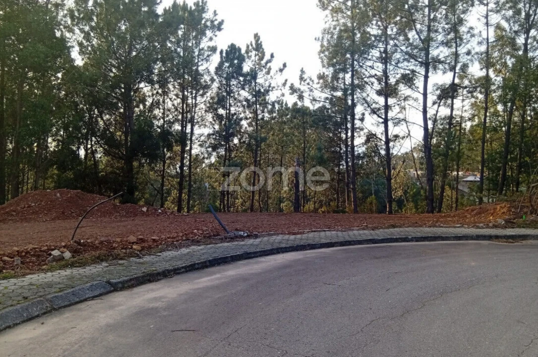 Terreno para Venda em O. Azeméis, Riba-Ul, Ul, Macinhata Seixa, Madail Foto 6