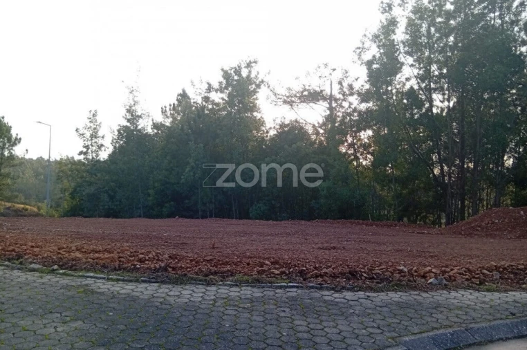 Terreno para Venda em O. Azeméis, Riba-Ul, Ul, Macinhata Seixa, Madail Foto 8