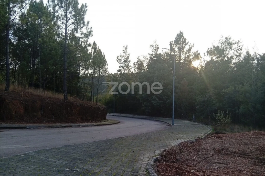 Terreno para Venda em O. Azeméis, Riba-Ul, Ul, Macinhata Seixa, Madail Foto 7