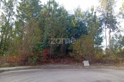 Terreno para Venda em O. Azeméis, Riba-Ul, Ul, Macinhata Seixa, Madail