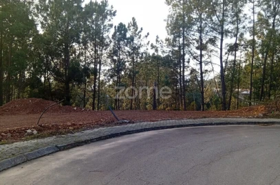Terreno para Venda em O. Azeméis, Riba-Ul, Ul, Macinhata Seixa, Madail