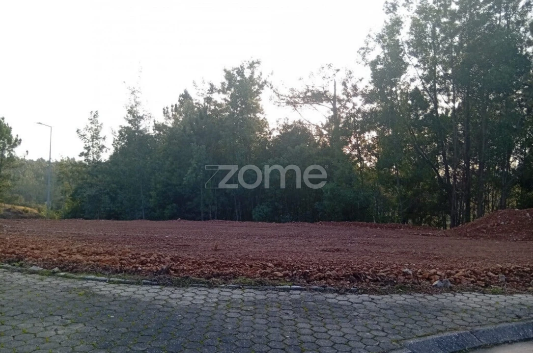 Terreno para Venda em O. Azeméis, Riba-Ul, Ul, Macinhata Seixa, Madail Foto 9