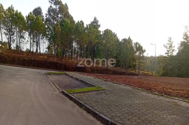 Terreno para Venda em O. Azeméis, Riba-Ul, Ul, Macinhata Seixa, Madail Foto 8