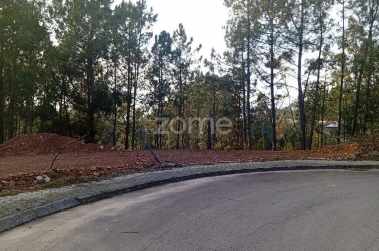 Terreno para Venda em O. Azeméis, Riba-Ul, Ul, Macinhata Seixa, Madail Foto 4